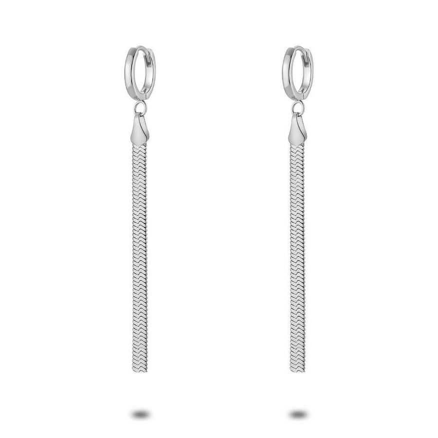 Women Twice As Nice | Stainless Steel Earrings, Earring, Flat Snake