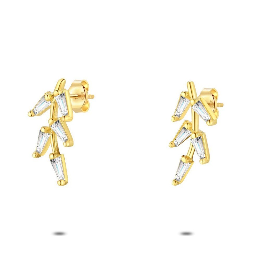 Women Twice As Nice | Silver Earrings, Gold Branch With 5 Zirconia